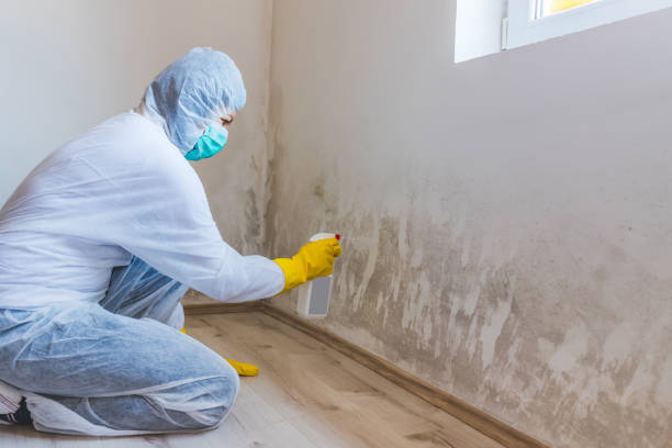 Crawl Space Mold Remediation treatment of floor joists in Rutherford
